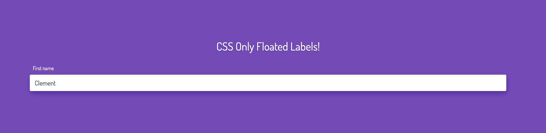CSS ONLY FLOAT LABEL