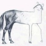 horse drawing project