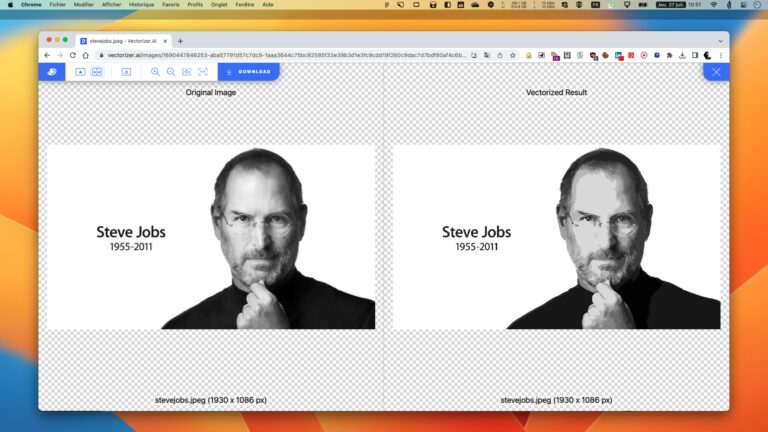 VECTORIZER.AI : VECTORISEZ SIMPLEMENTS VOS IMAGES