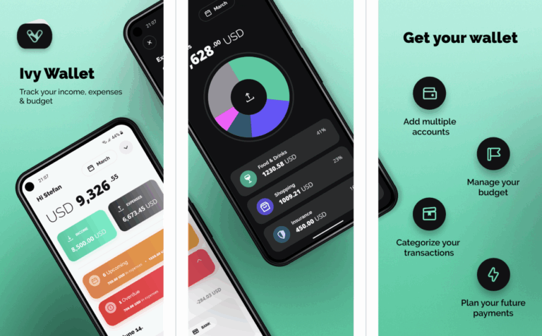 IVY WALLET : Money manager