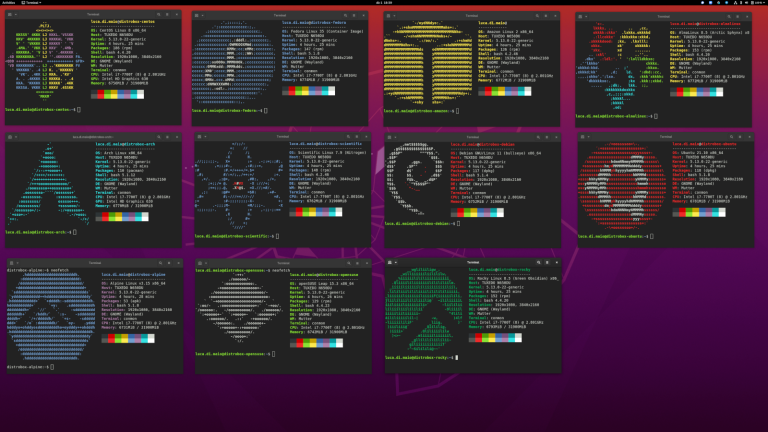 DISTROBOX : utiliser n&rsquo;importe quelle distribution Linux depuis votre terminal