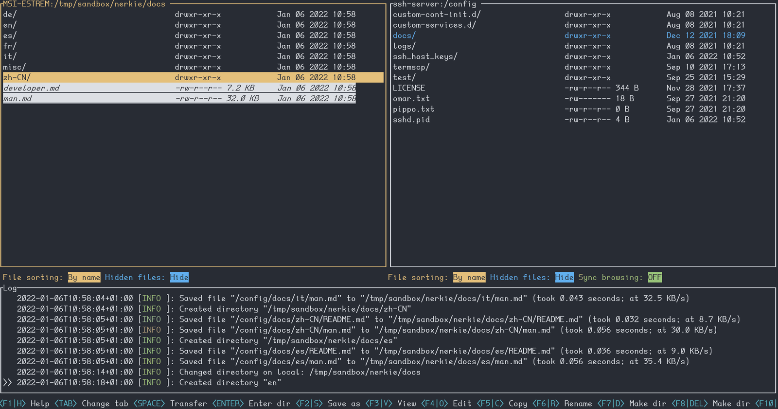 Termscp dual pane explorer