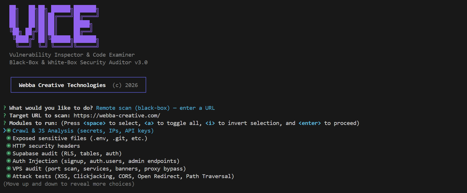 Les modules de scan distant de VICE, du crawl navigateur aux buckets de stockage