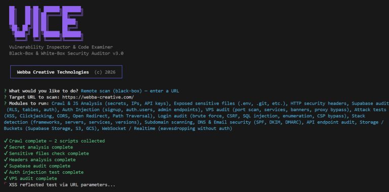 VICE en cours de scan distant dans le terminal