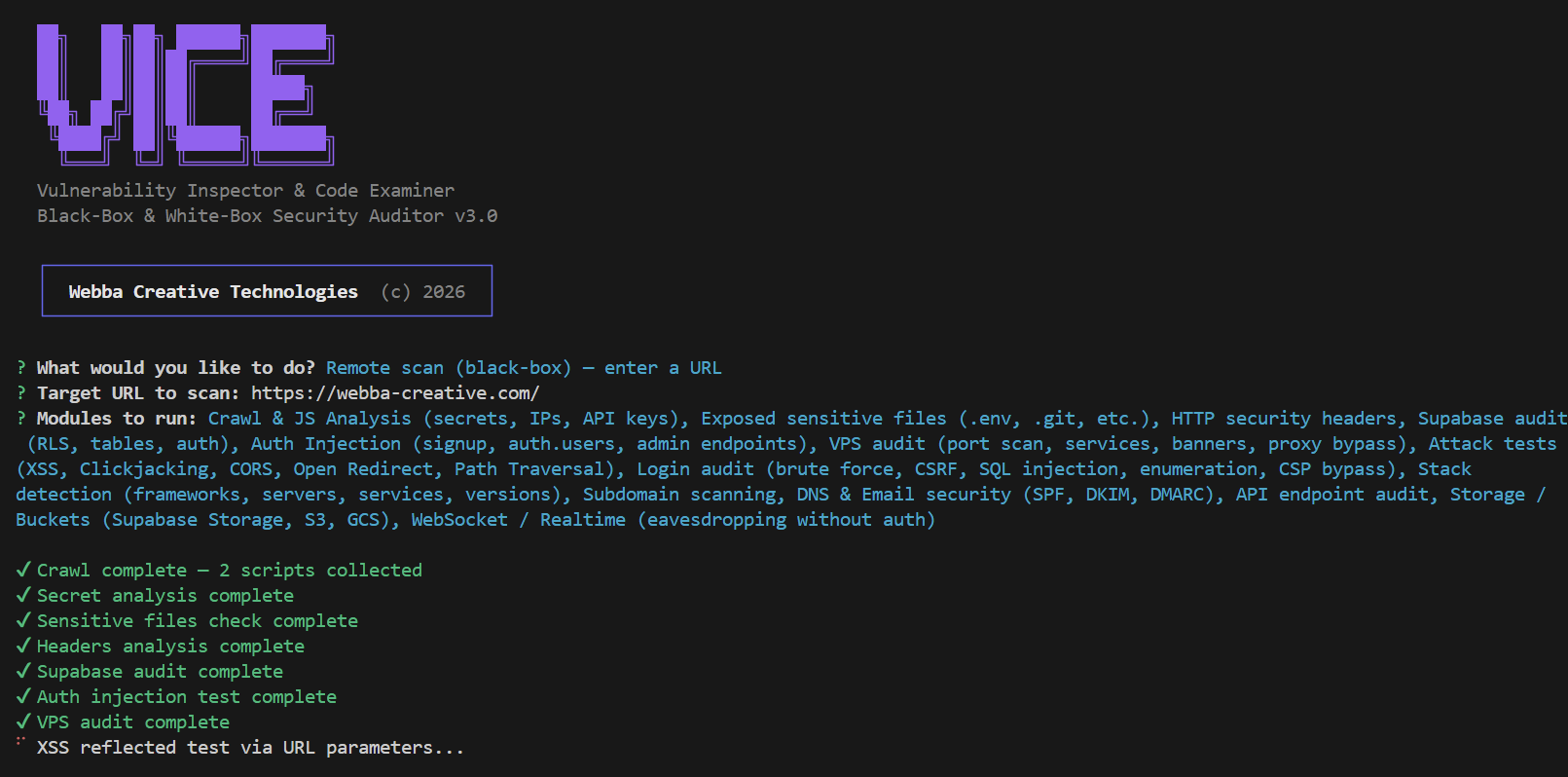 VICE en cours de scan distant dans le terminal